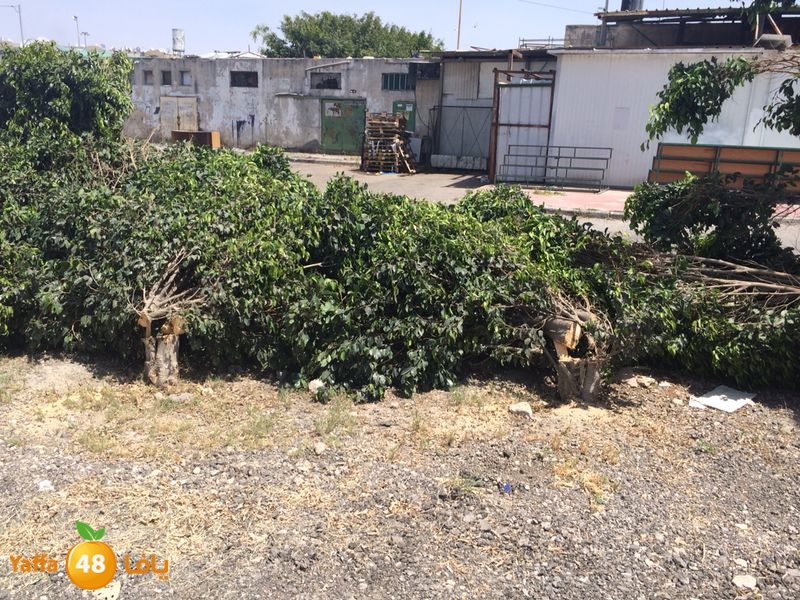 kenan 7ashouna 0503 (14).JPG